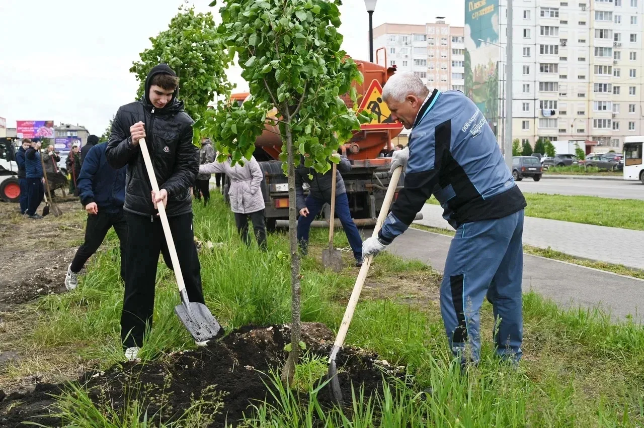 Изображение 4 к публикации «Мой Елец | Новости»