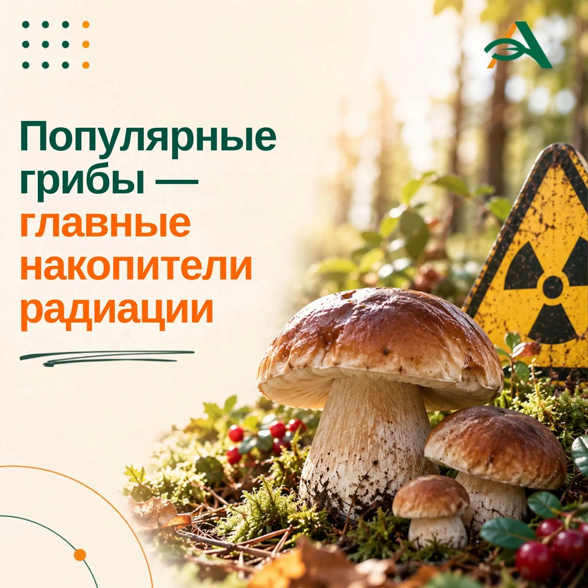 Эксперты ФГБУ «ВНИИЗЖ» Россельхознадзора предупреждают: дикорастущие грибы и ягоды — од...