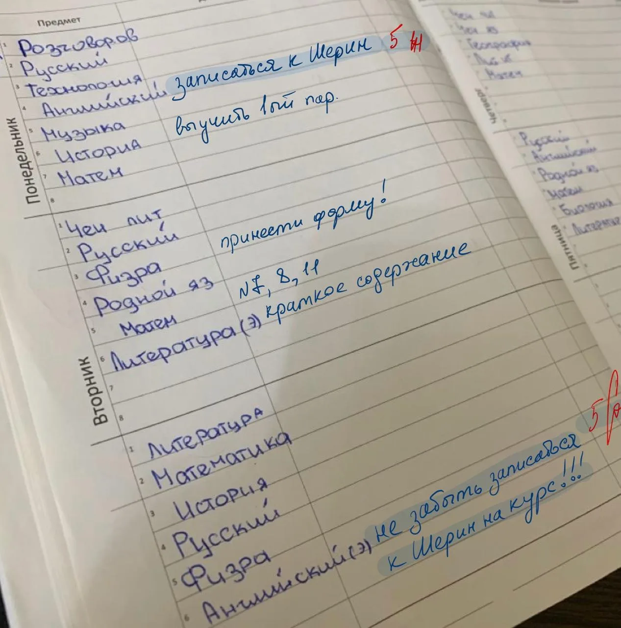 Дневник берём с собой?