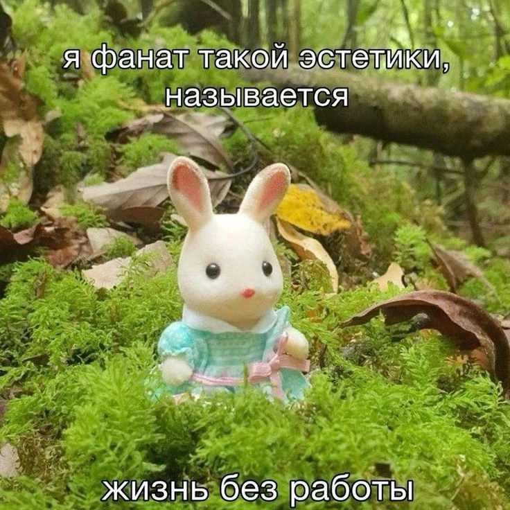 Мемный
