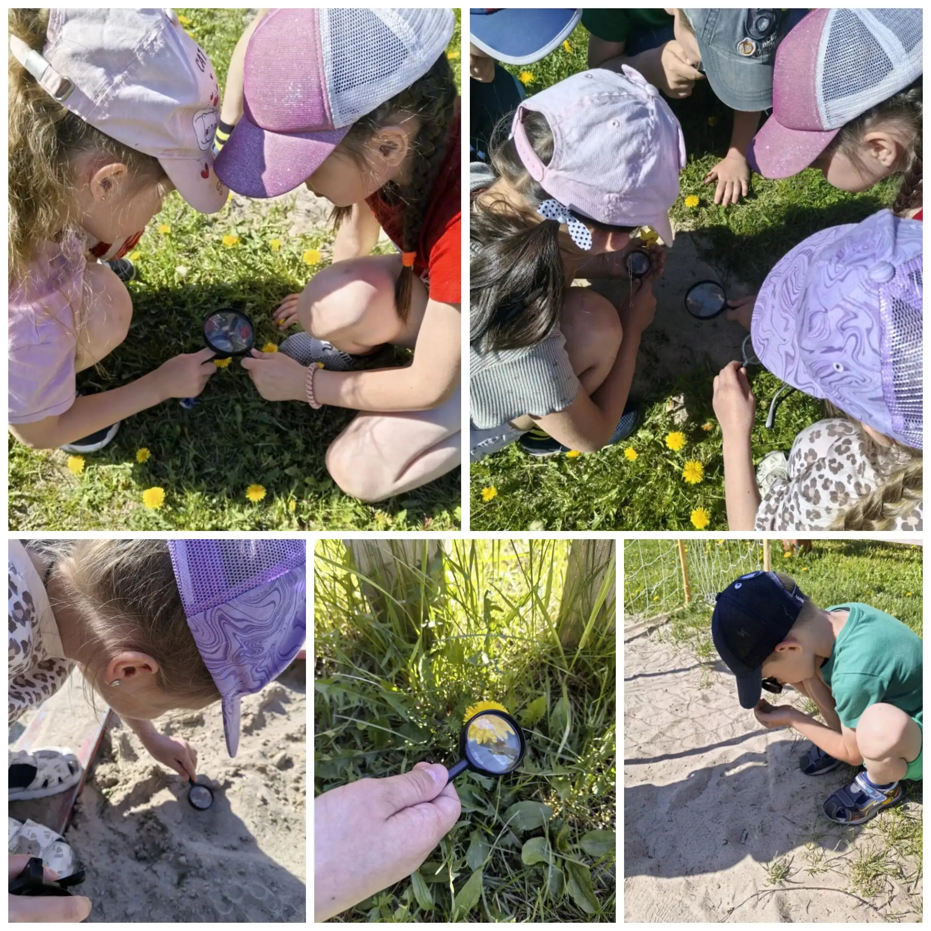 🌿В День эколога, ребята превратились в настоящих учёных-экологов! 🔍 Вооружившись лупами, они с инт