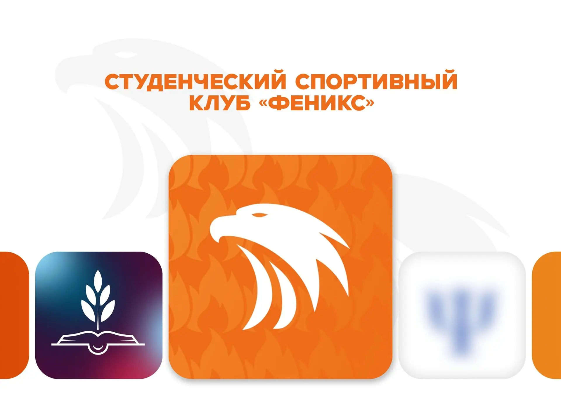 ССК «Феникс» — место силы, возможностей и команды!