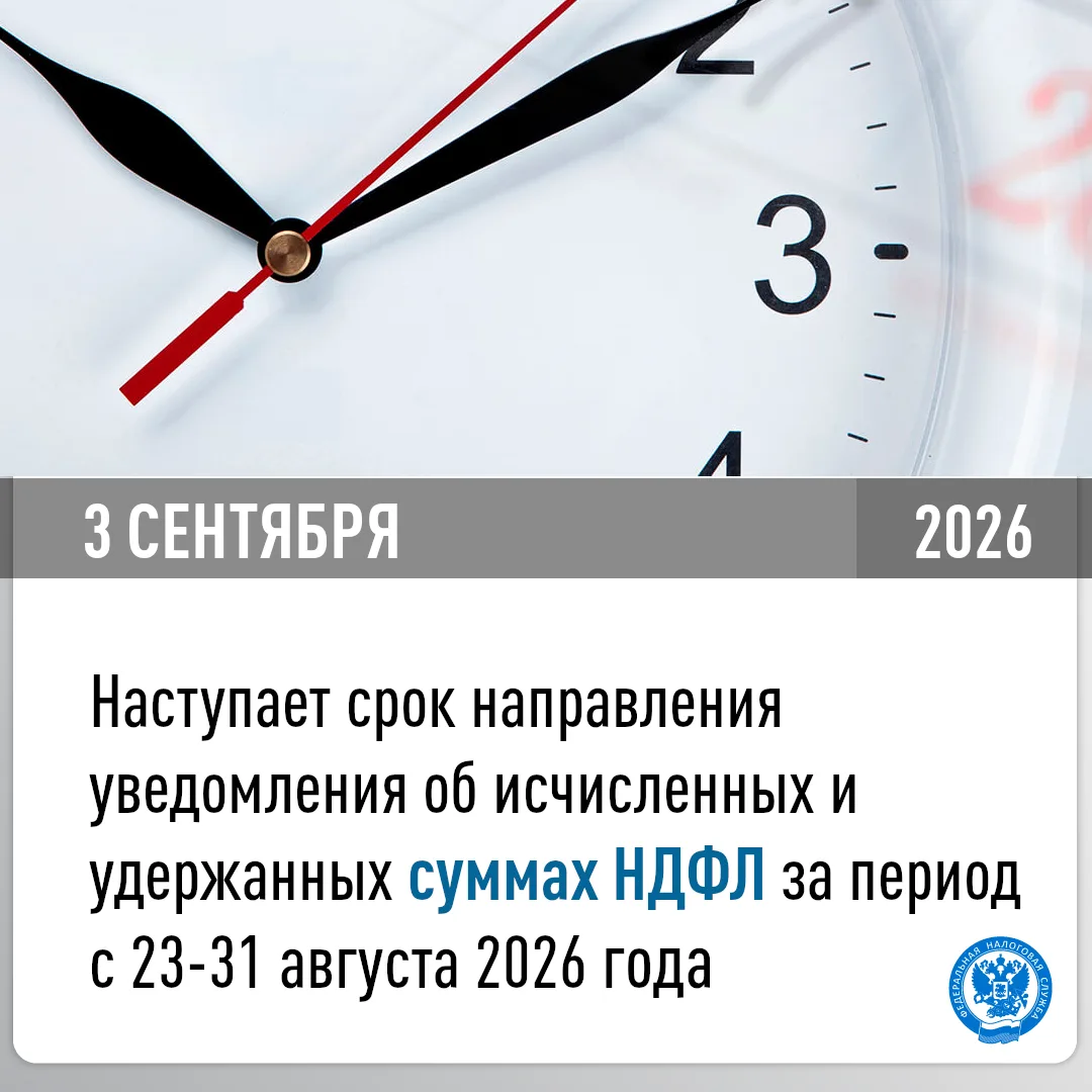 Напоминаем о сроке направления отчетности и датах уплаты налогов в сентябре