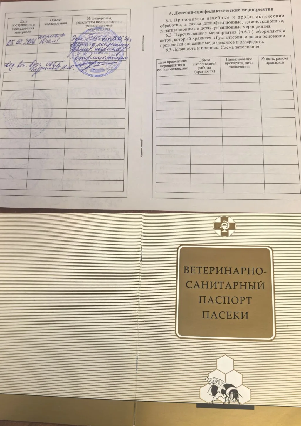 3 месяца назад - это казалось фантастическим планом...  А сегодня мы полностью восстановили пасеку и