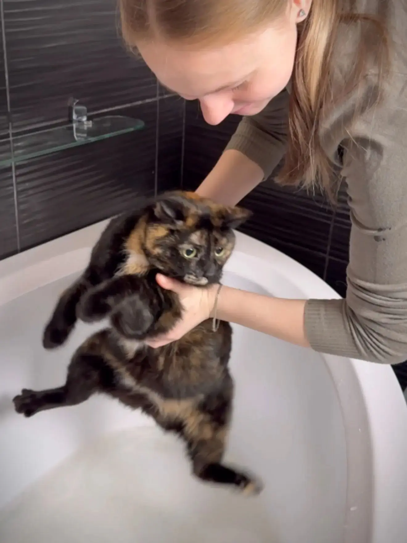 🐱Купание кошки превращается в кошмар?