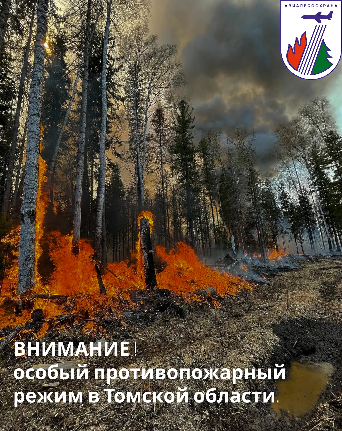 🔥 В Томской области действует особый противопожарный режим