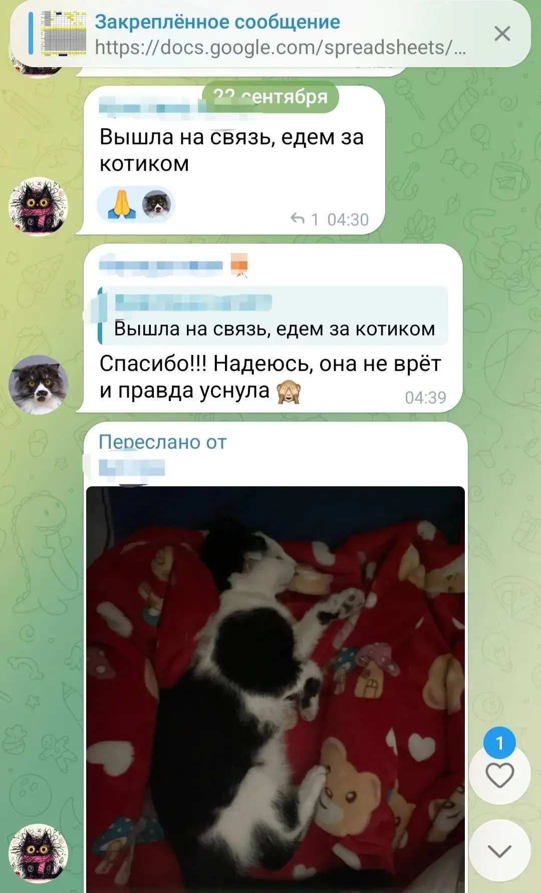 Все это время я собиралась с силами, чтобы сообщить, чем закончилась история котенка, к...