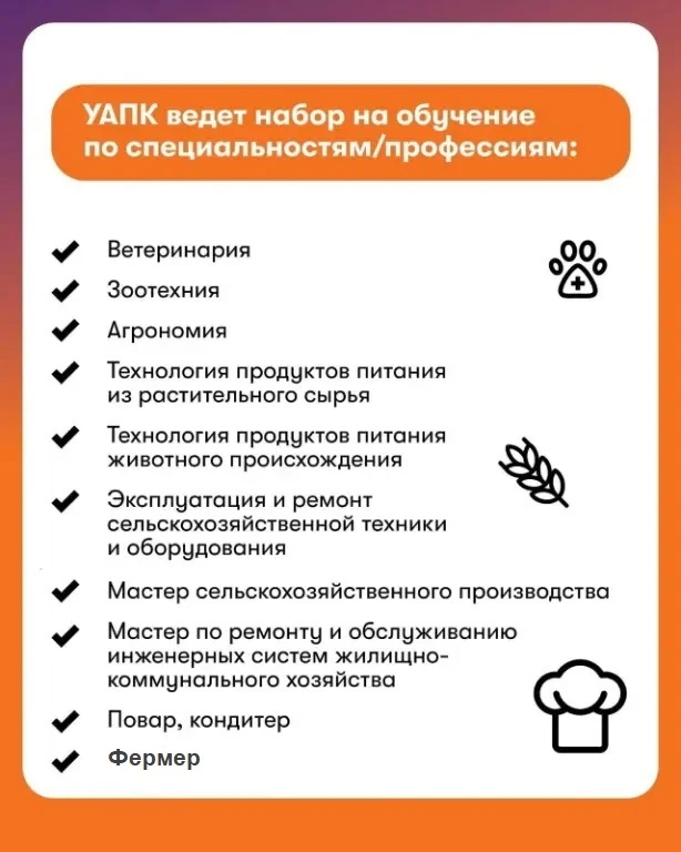 💭 Думаешь о том, как получить востребованную профессию, перспективную карьеру и прочный фундамент д