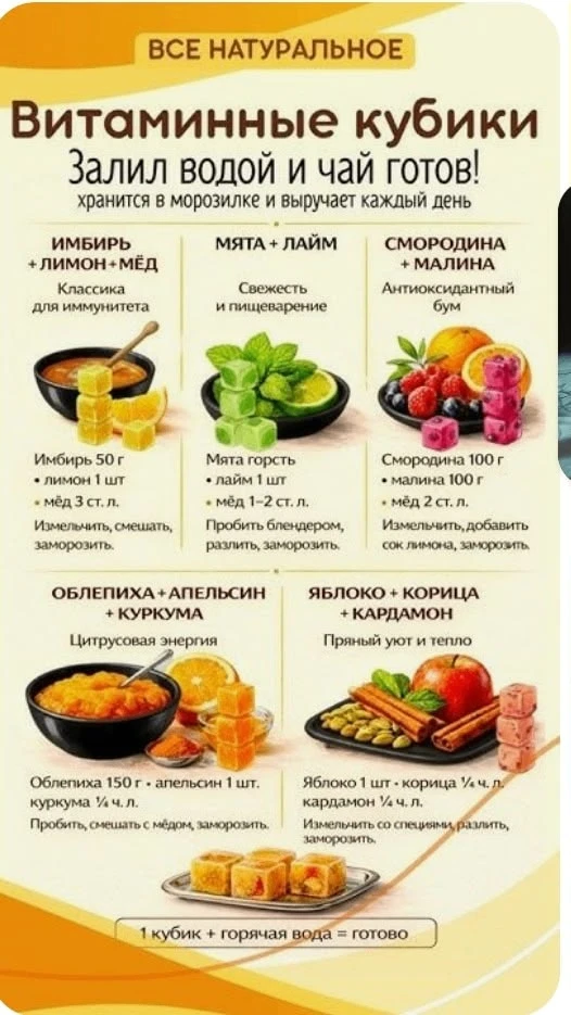 Витаминный чай своими руками