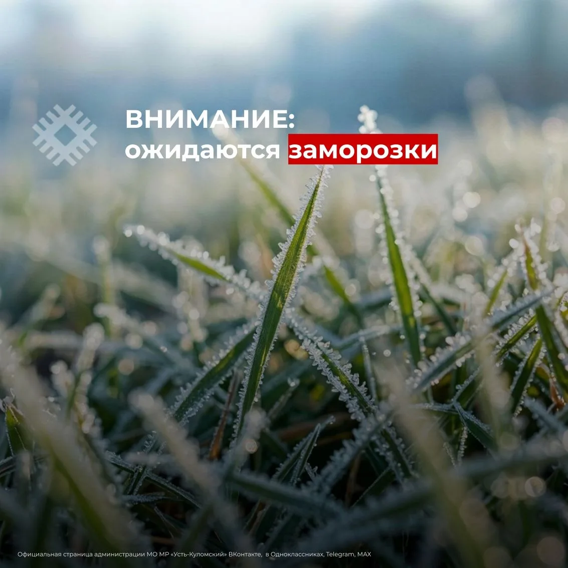 ⚠️ЭКСТРЕННОЕ ПРЕДУПРЕЖДЕНИЕ⚠️