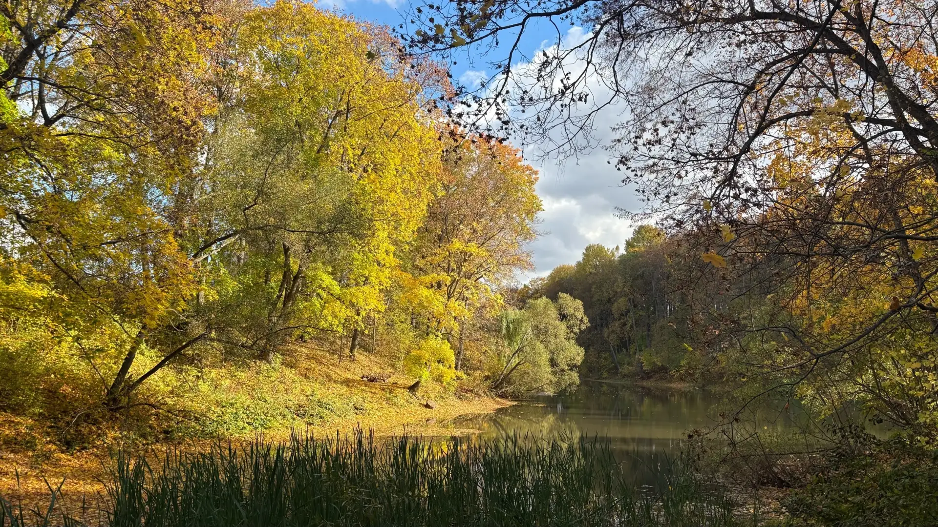 🌥Впереди у орловцев теплая осенняя неделя