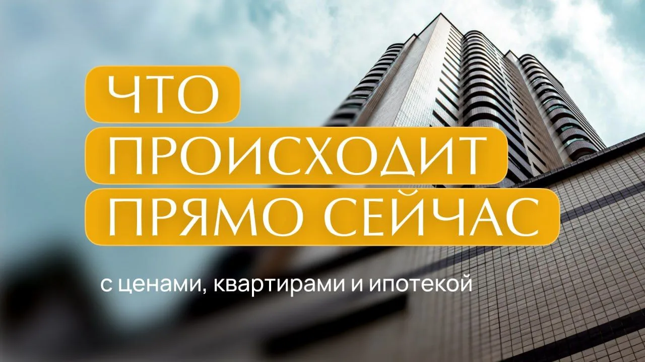 Цены растут, выбор сокращается. Что делать покупателю? 🚨