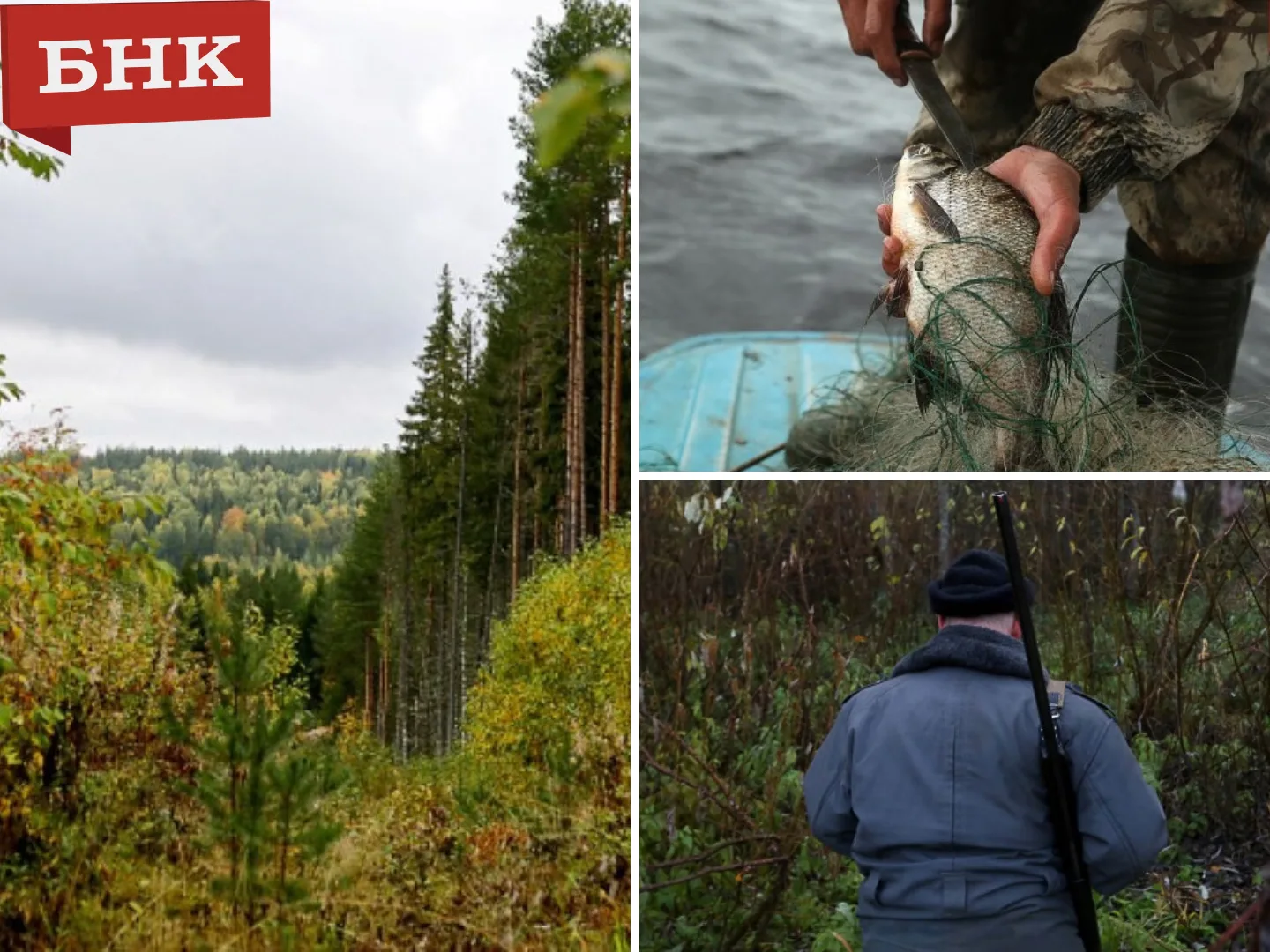 Охотники и рыболовы Коми остались без угодий в нацпарке «Койгородский»
