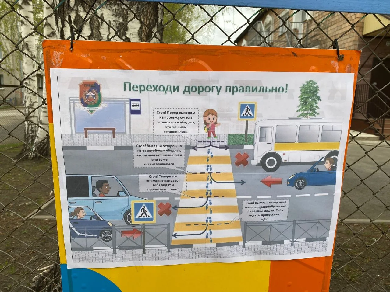 Мы — дошколята, но уже знаем,