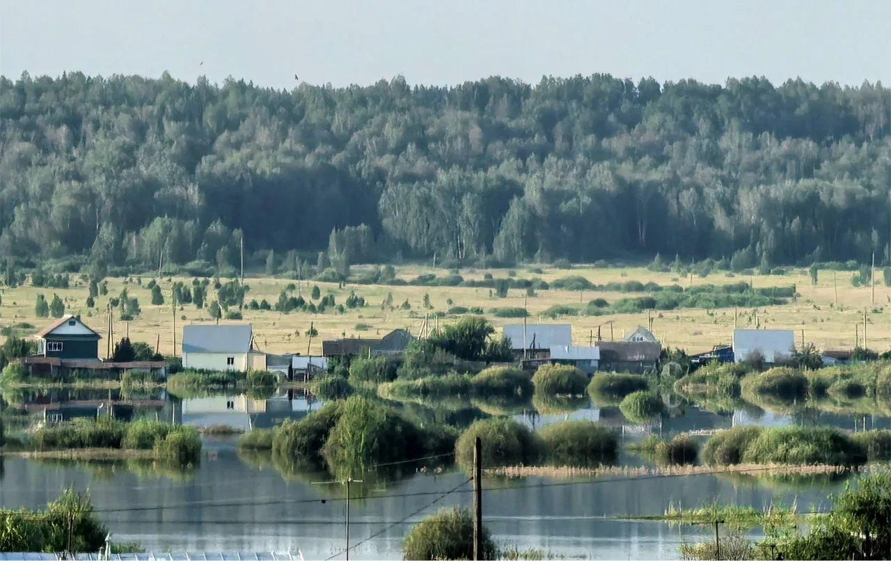 Подтопленные огороды, неприятный запах и ПВР: что происходит в Шадринске

Уровень Исети в городе вче