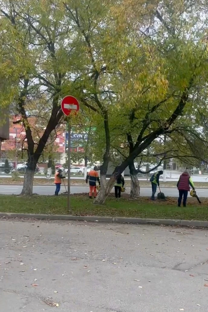 Муниципальные предприятия и бизнес Вологды присоединились к месячнику благоустройства
