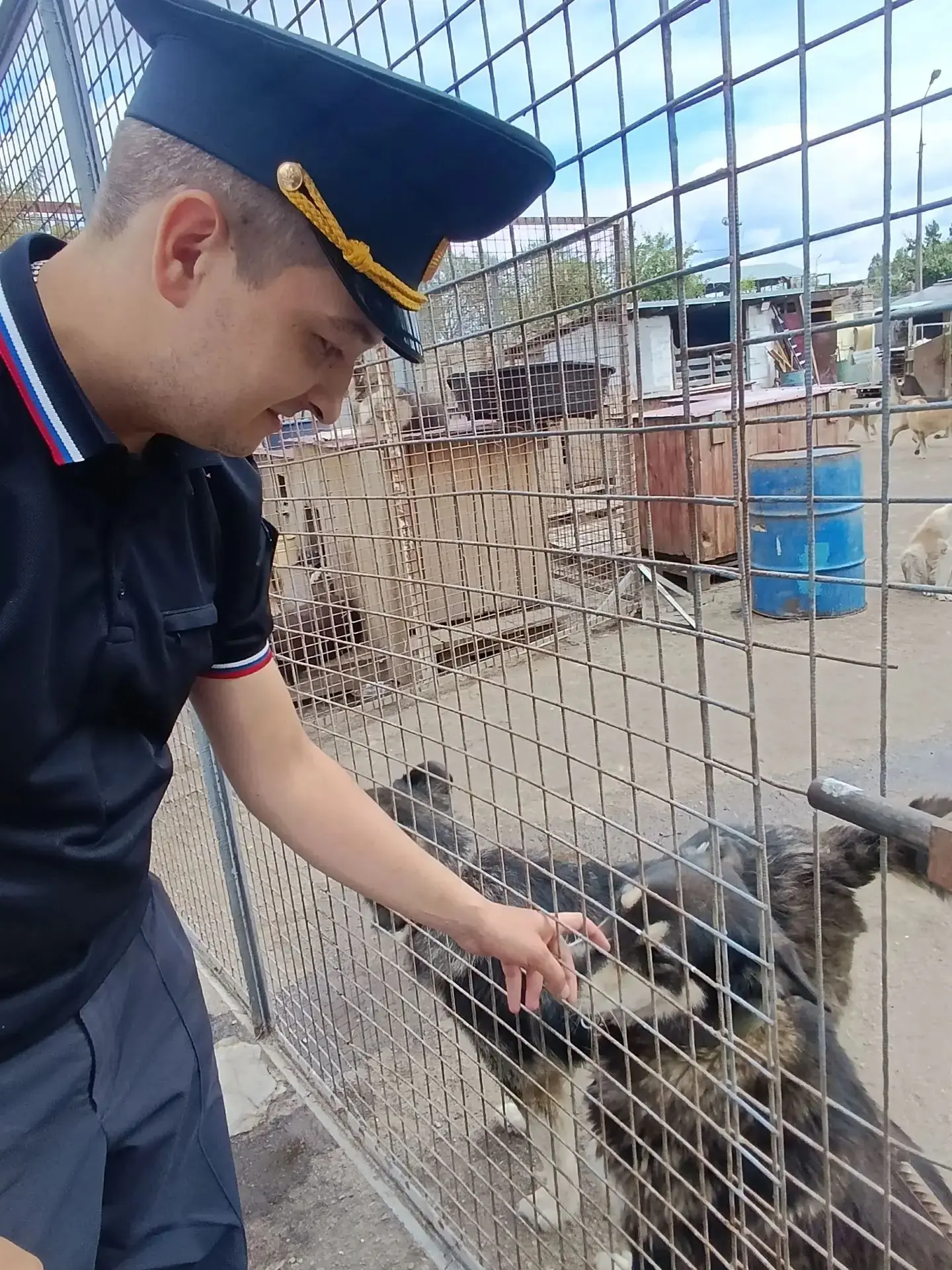Судебные приставы Псковской области помогают четвероногим друзьям