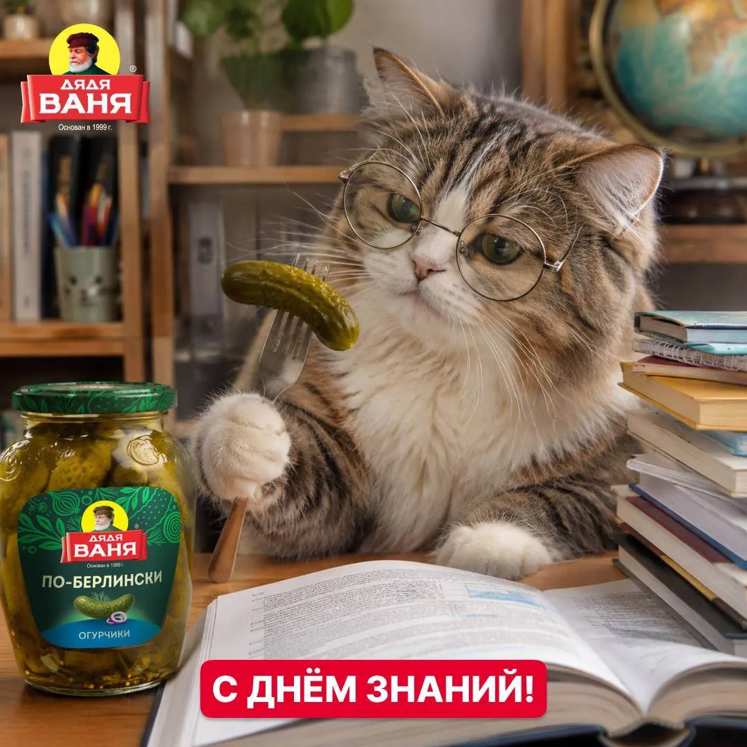 Учёба — гранит науки, но его лучше грызть под наши хрустящие огурчики. С Днём знаний!