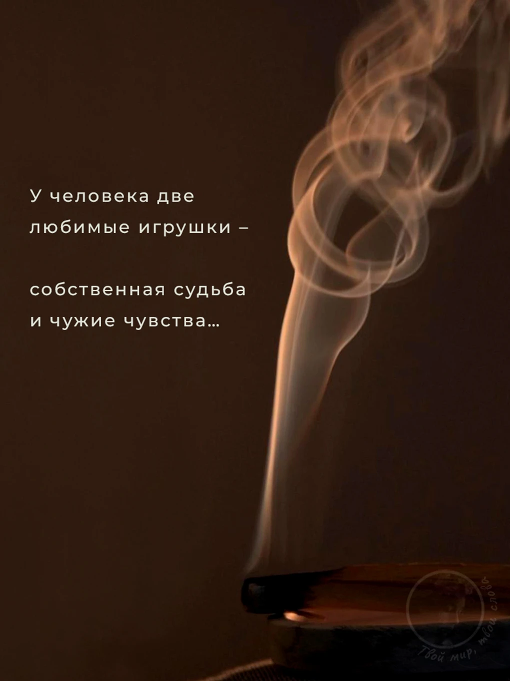 Твой мир, твои слова