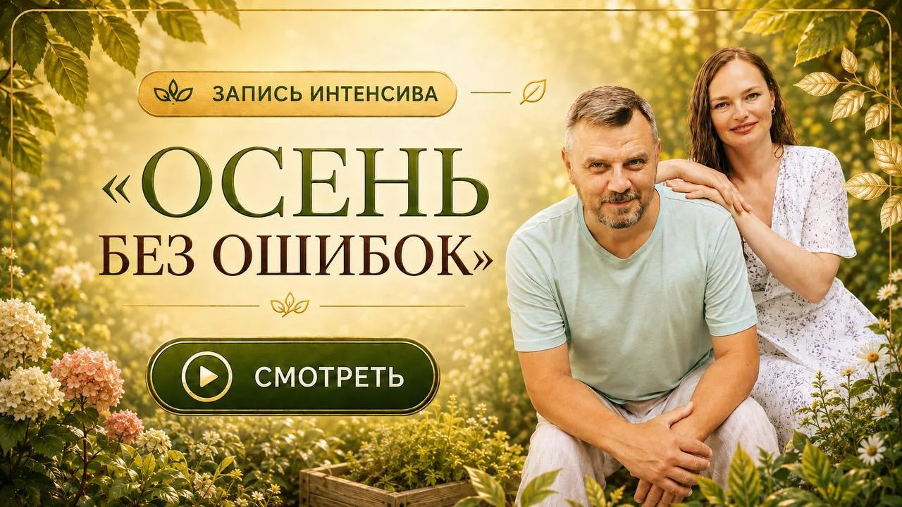 Правильные решения осенью = здоровый сад и сильный урожай в следующем сезоне