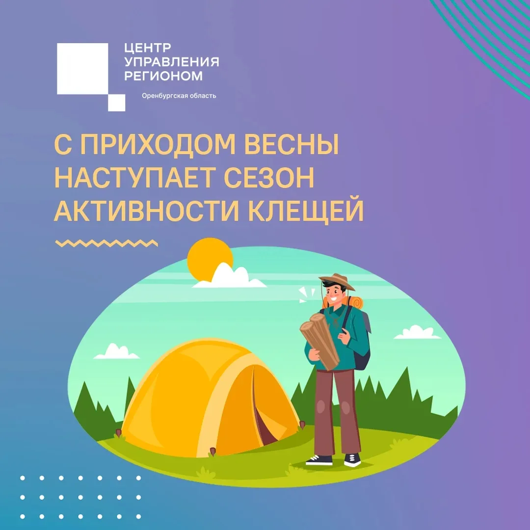 🕷 В нашем регионе активизировались клещи