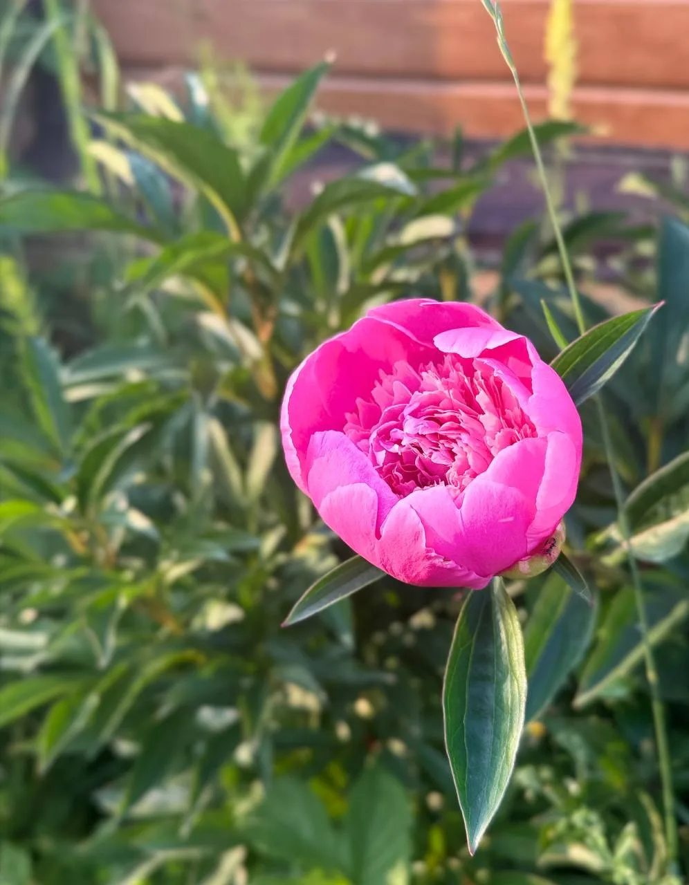 ☀️Хәерле  Дүшәмбе иртәсе  белән, дуслар! 

Яңа көн , яңа атналар белән барыгызны да🤲🙏 Бүгенге көн 