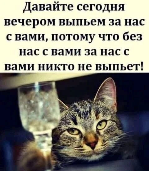 Суббота, товарищи!