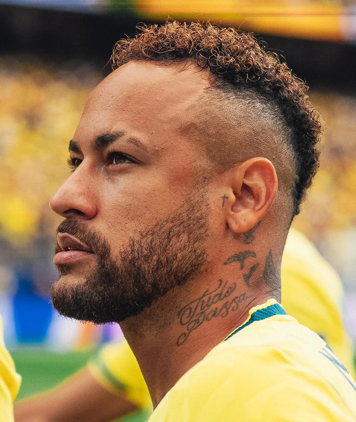 🇧🇷💙💚💛