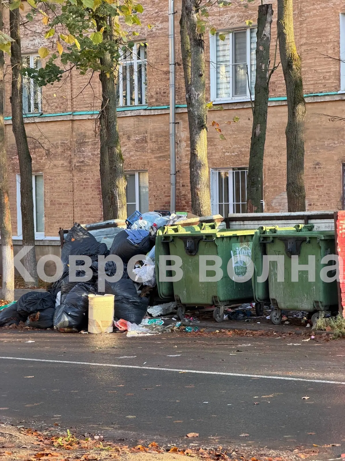 ‼️‼️ПОМОЙКА ЦВЕТЕТ И ПАХНЕТ УЖЕ НЕДЕЛЮ