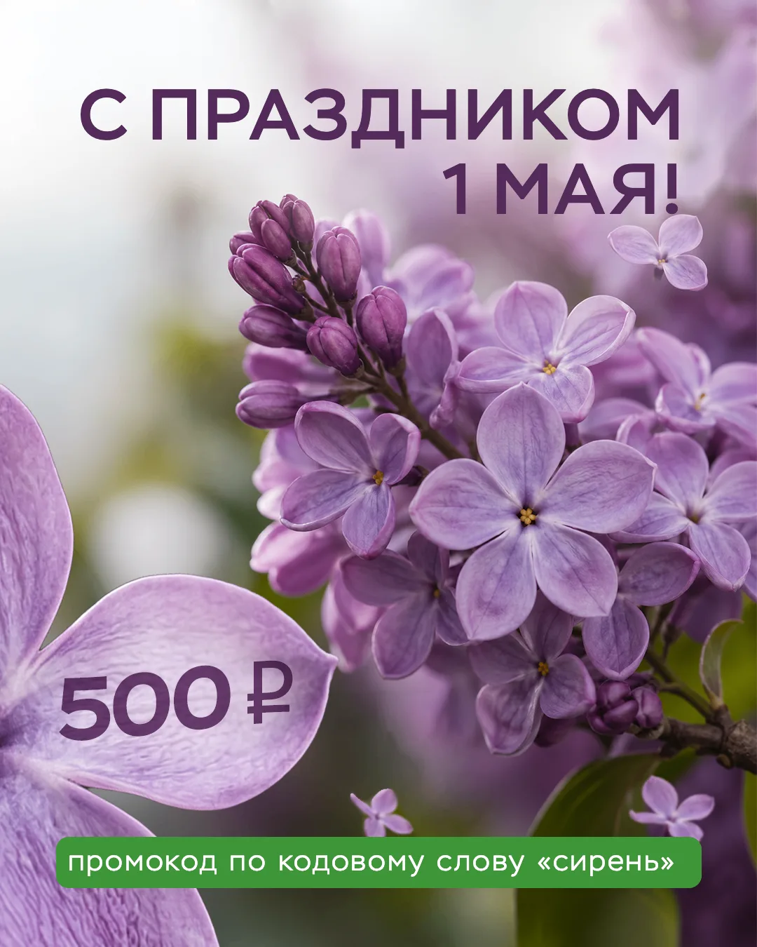 🌸 С Праздником Весны и Труда!