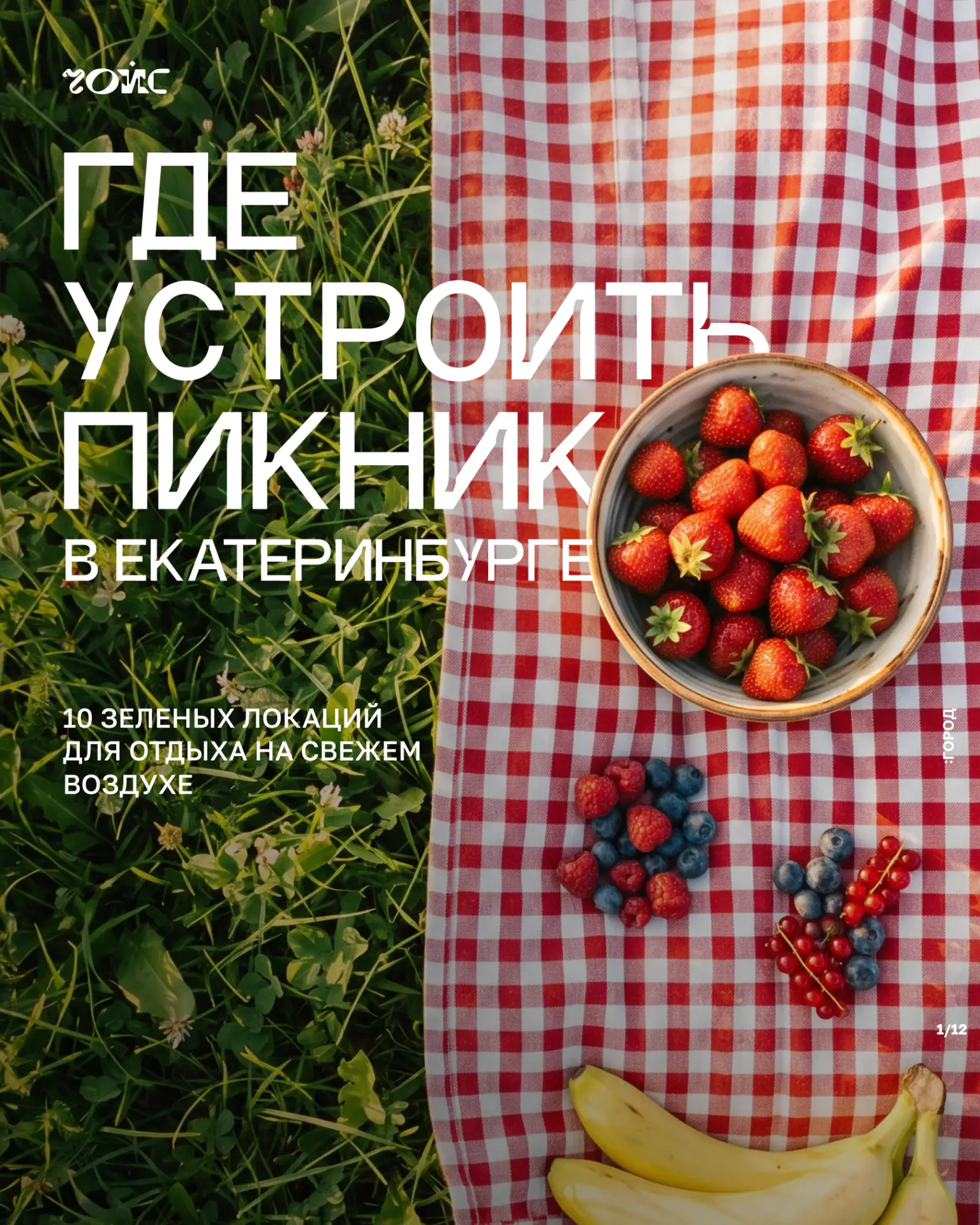 🧺 Где устроить пикник в Екатеринбурге: 10 зеленых локаций для отдыха на свежем воздухе
