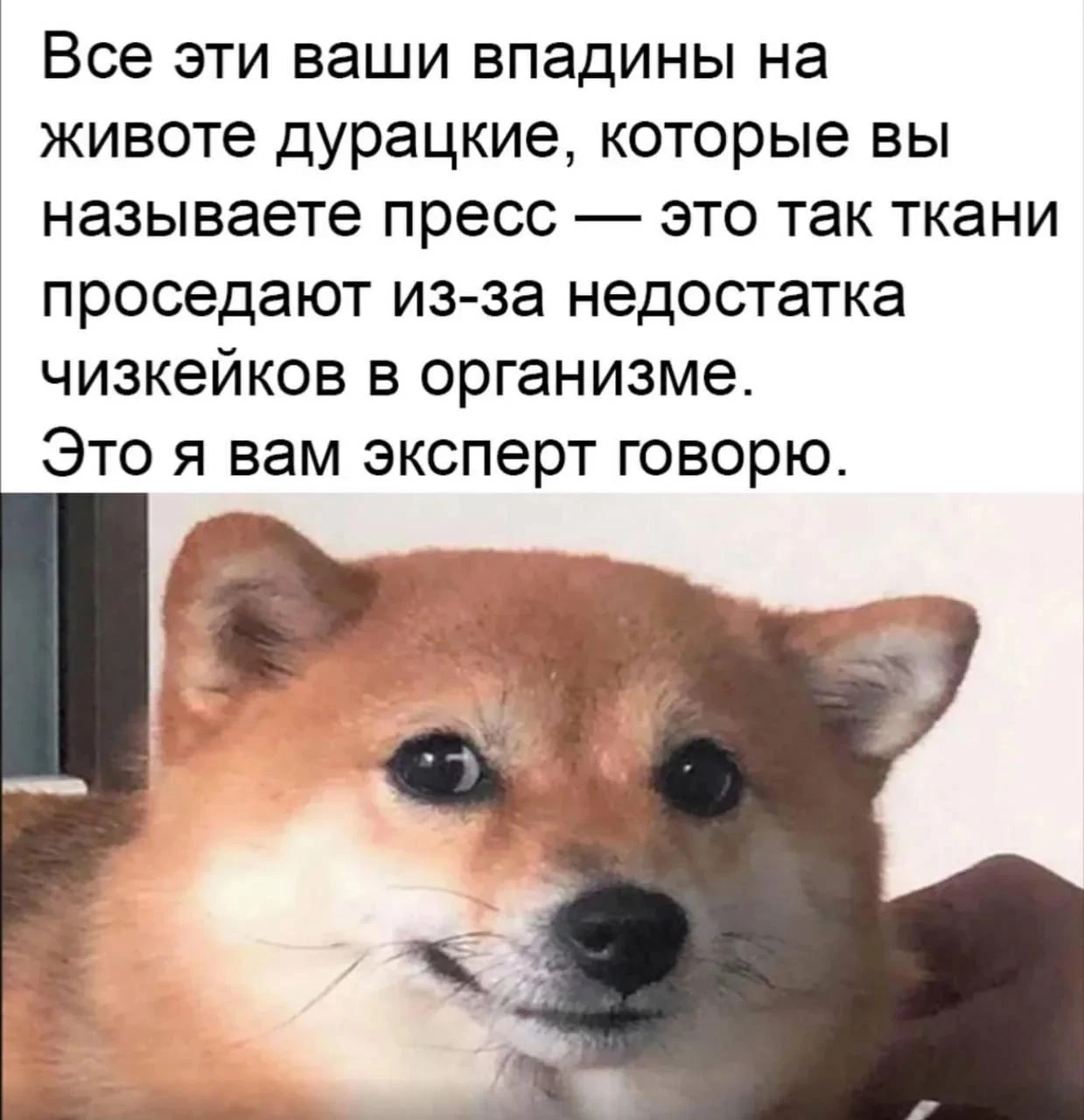 дело говорит)