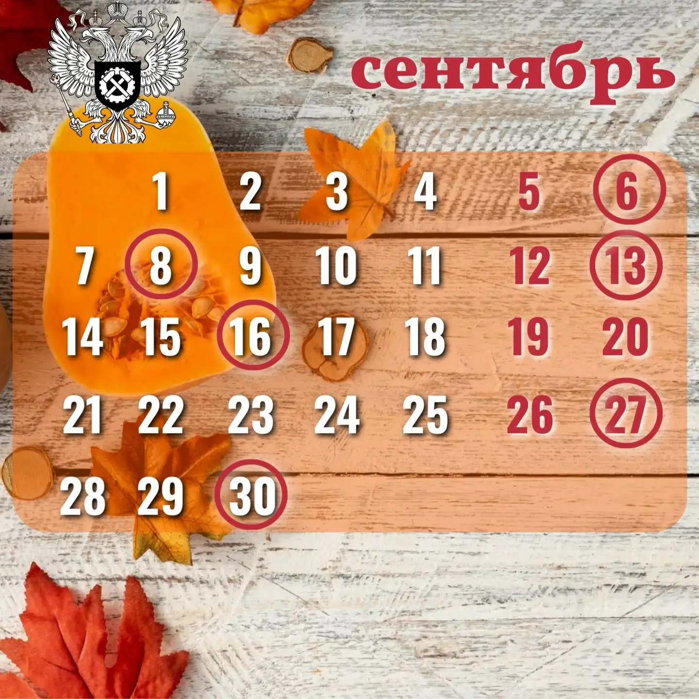 Дорогие друзья! Лето плавно уходит, уступая место золотистой осени