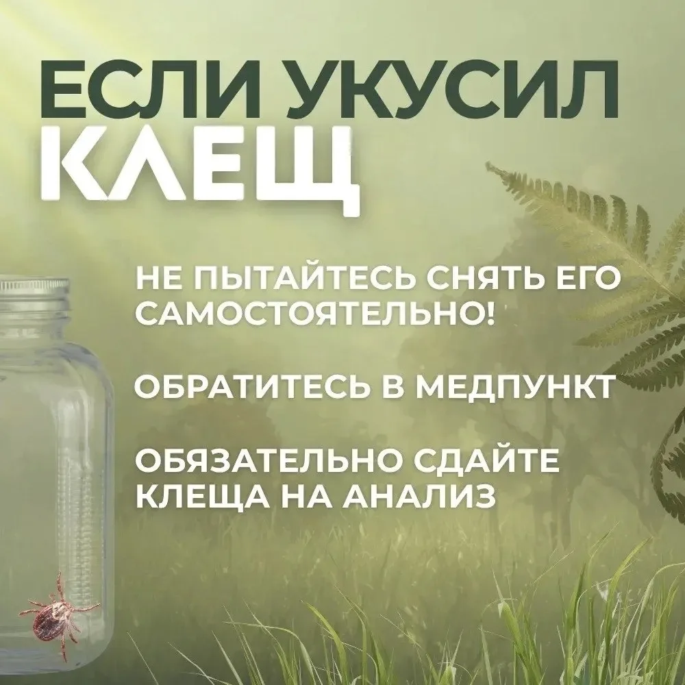 🕷 Внимание, клещи!