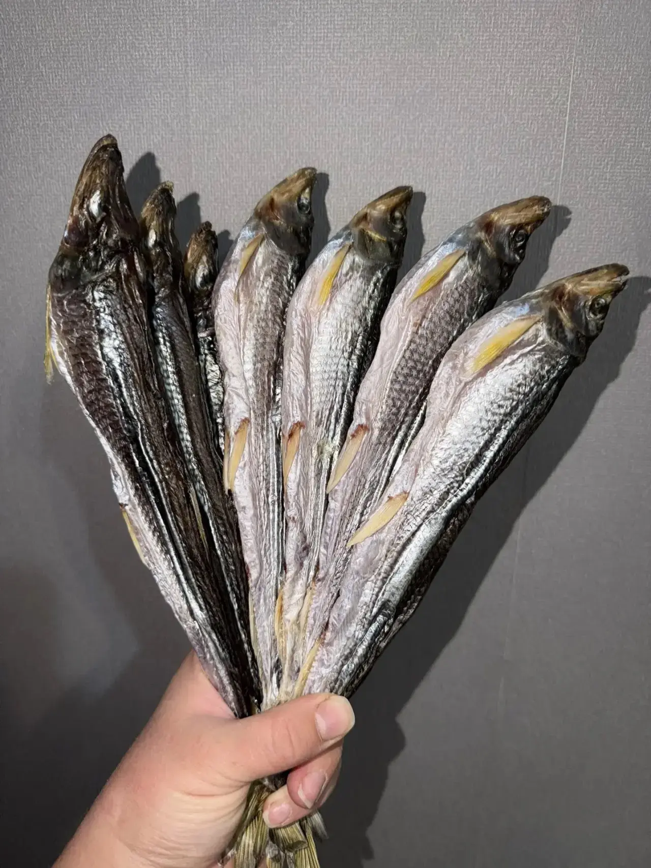 Корюшка (зубарь) 
малосолёная, жирная, морская
сушится в цеху по правилам с вытяжками
📌50/50 самки 