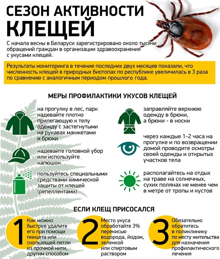 ⚠️ ОСТОРОЖНО, КЛЕЩИ!