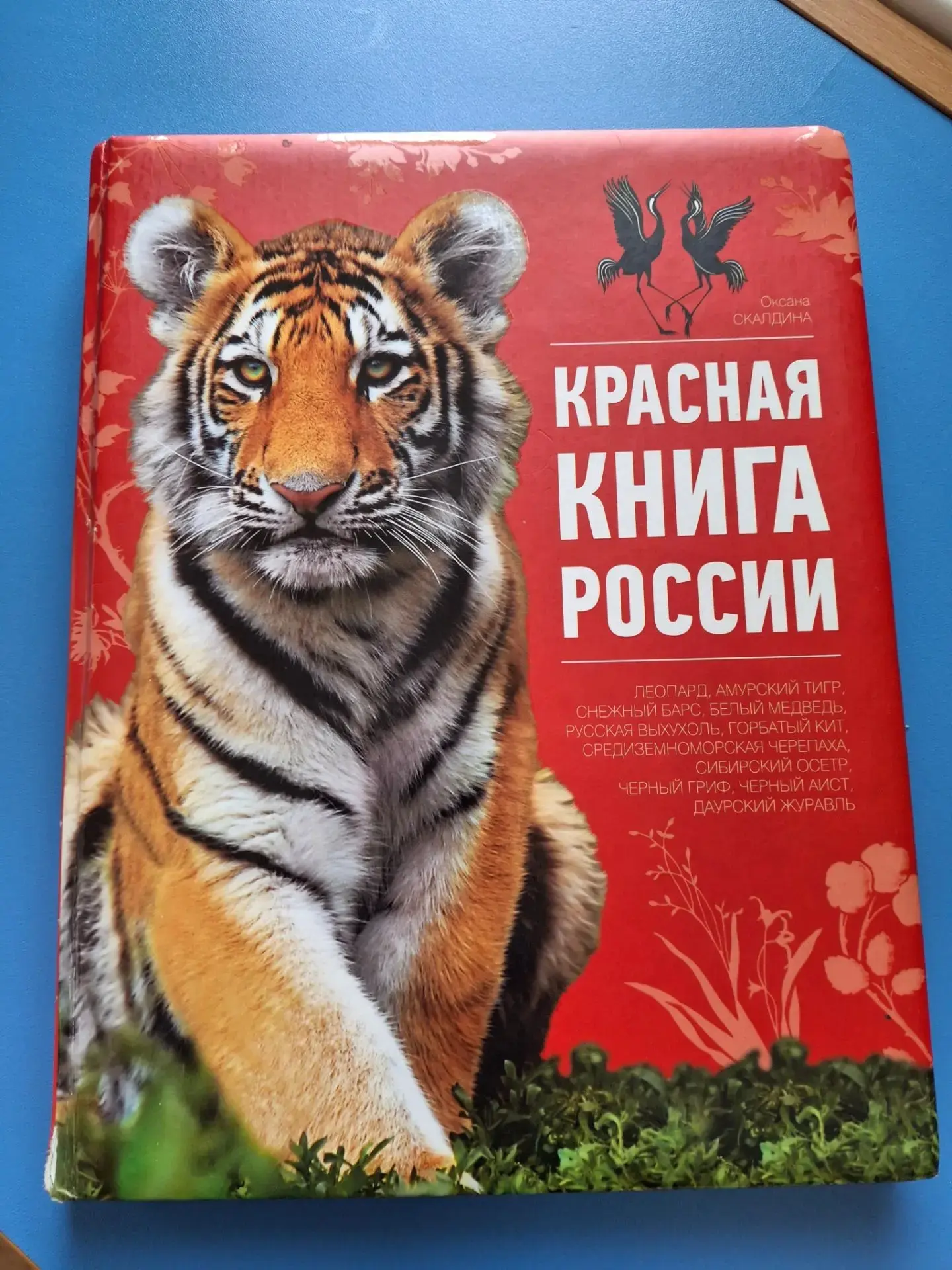 🌍📚 В нашем детском саду вчера прошло увлекательное занятие, посвященное Красной книге! 📖❤️ Ребята