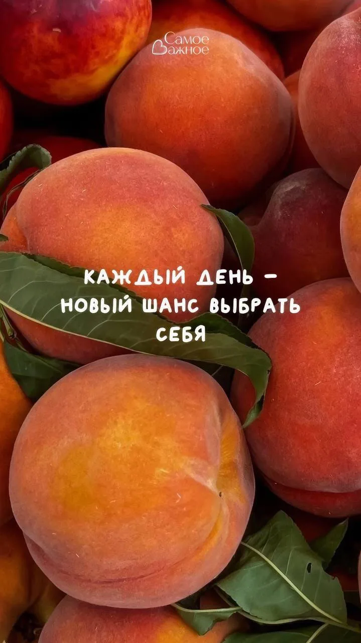 #мотивация
Картинки на каждый день