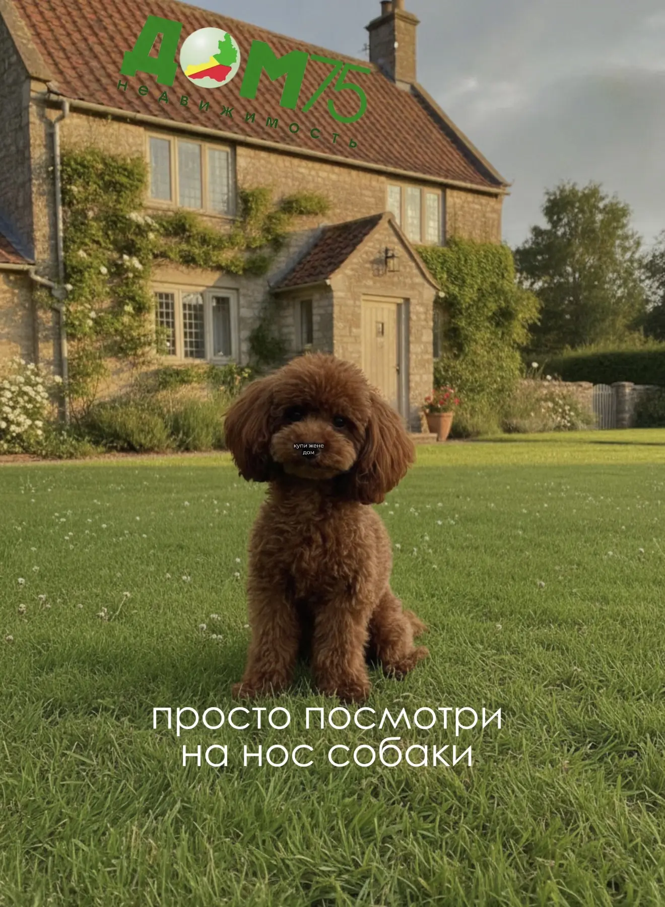 Не забываем про тренды ☺️

ВАШ ДОМ 75 🏠
8-924-571-75-75 📲
📍 г. Чита, ул. Балябина, д. 13, офис 30