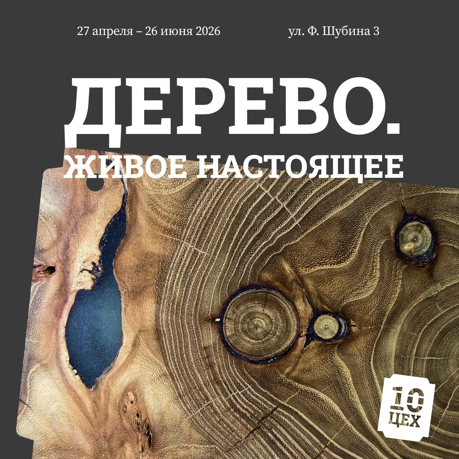 В АРХАНГЕЛЬСКЕ ПРОДОЛЖАЕТ РАБОТУ ВЫСТАВКА «ДЕРЕВО. ЖИВОЕ НАСТОЯЩЕЕ»