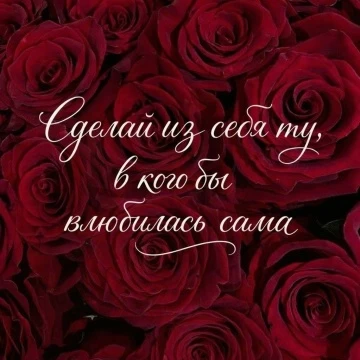 Подпишись 👇
Забытый сюжет • психология • отношения • цитаты • блог •