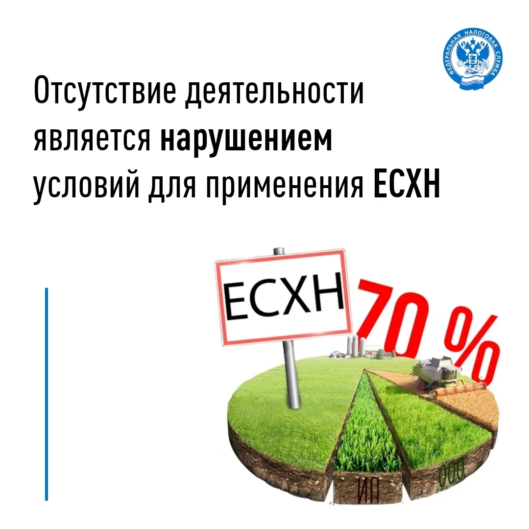 Специальный налоговый режим «Единый сельскохозяйственный налог» ( ЕСХН) предназначен для организаций