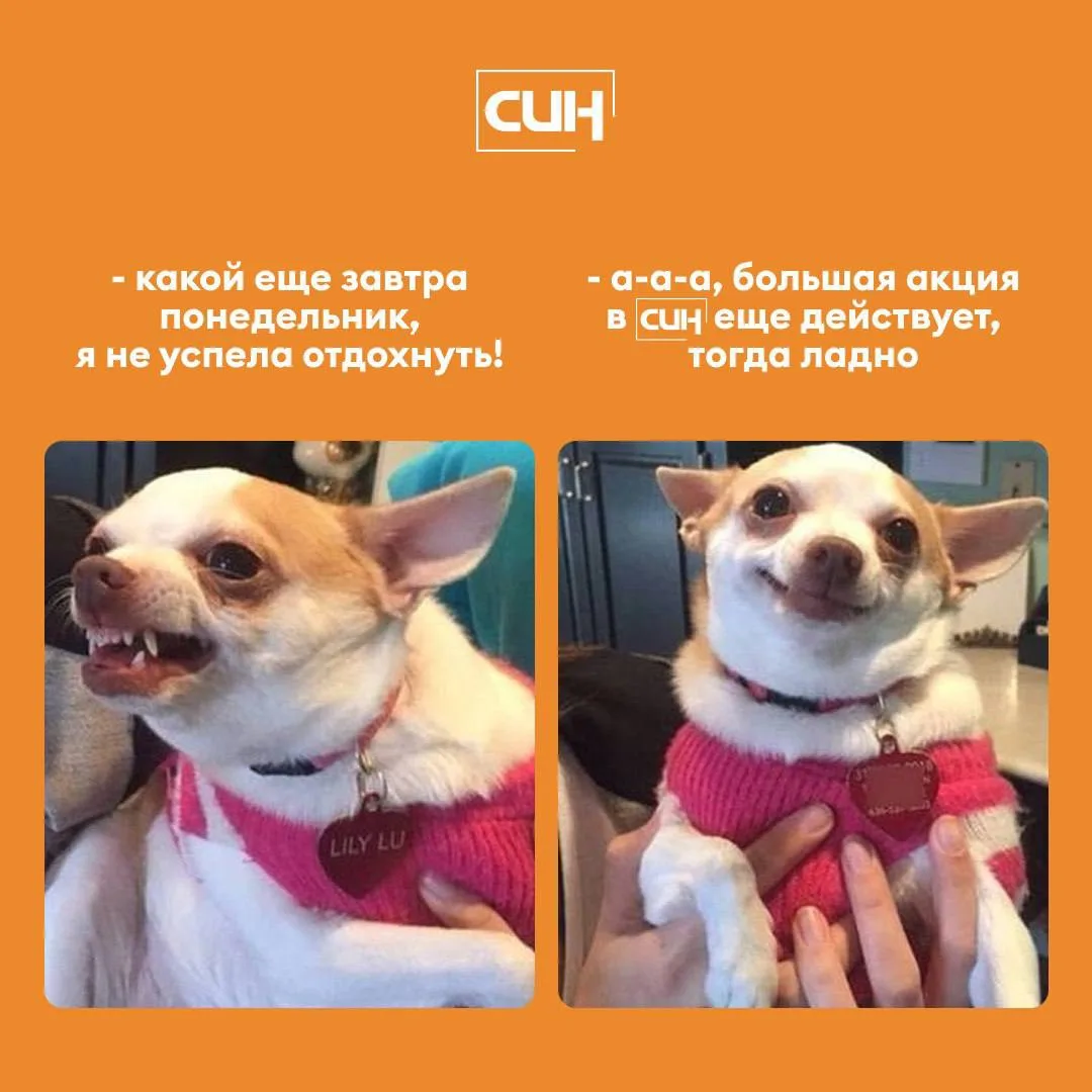 🧡 Акция продолжается! 

Да-да, завтра понедельник, но даже это не испортит настроение, ведь акция с