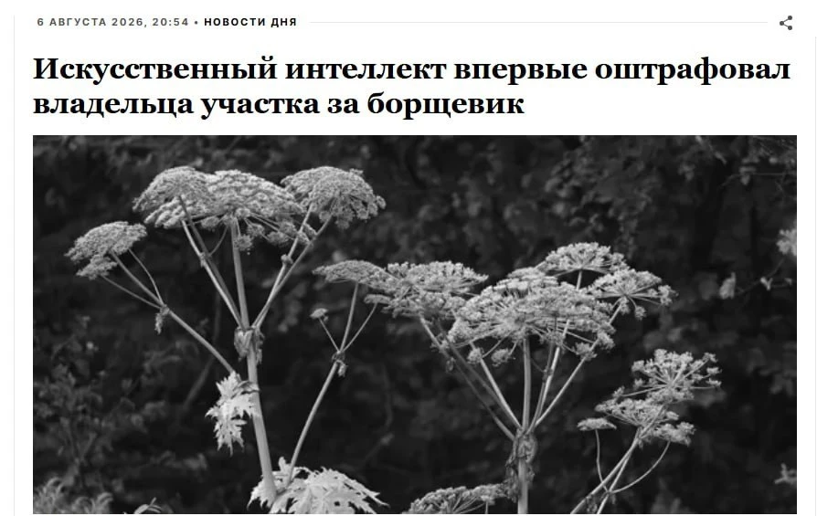Искусственный интеллект впервые оштрафовал за борщевик на участке. Жителю Подмосковья пришёл штраф в