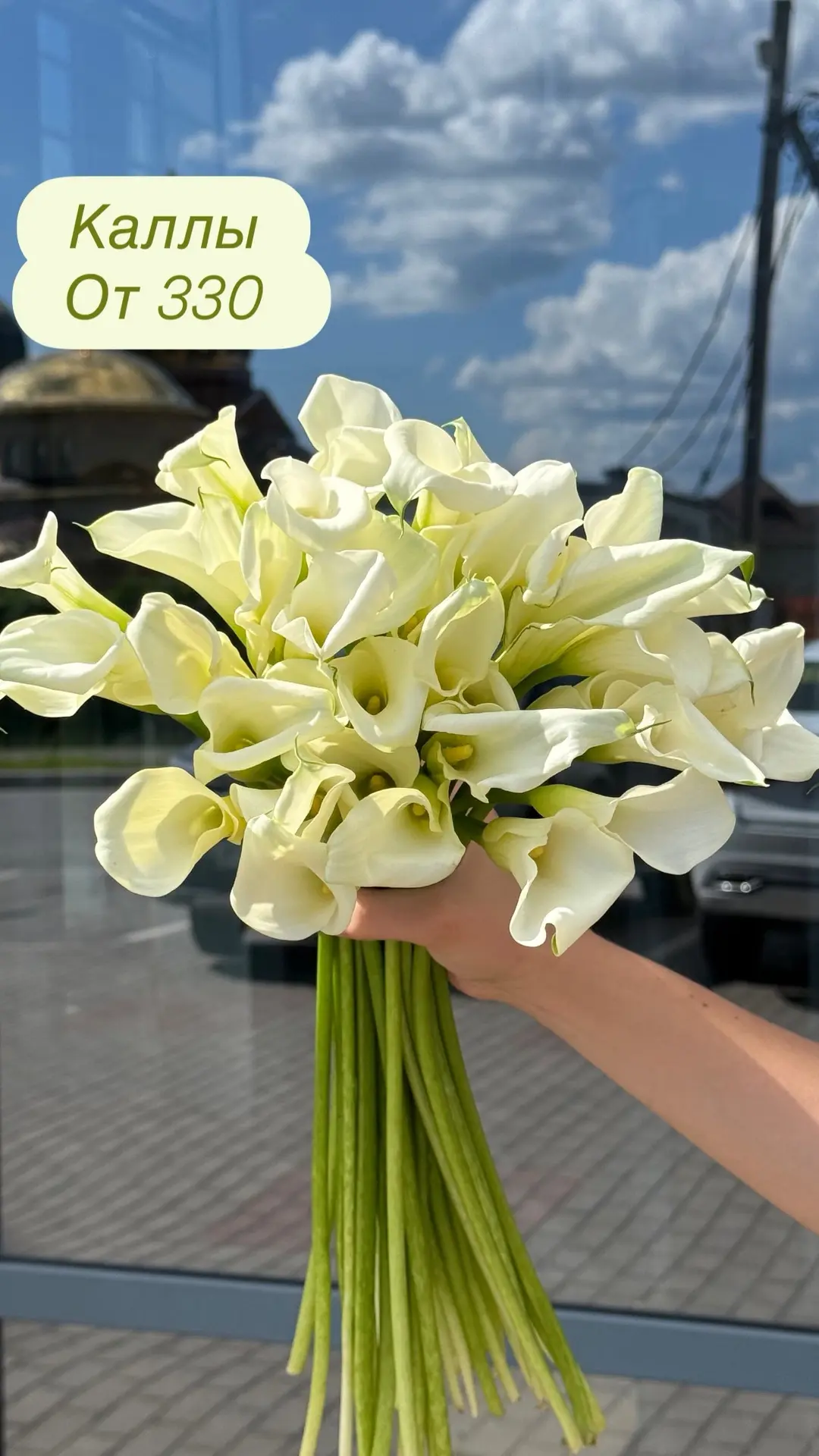 Свежая поставка🌸