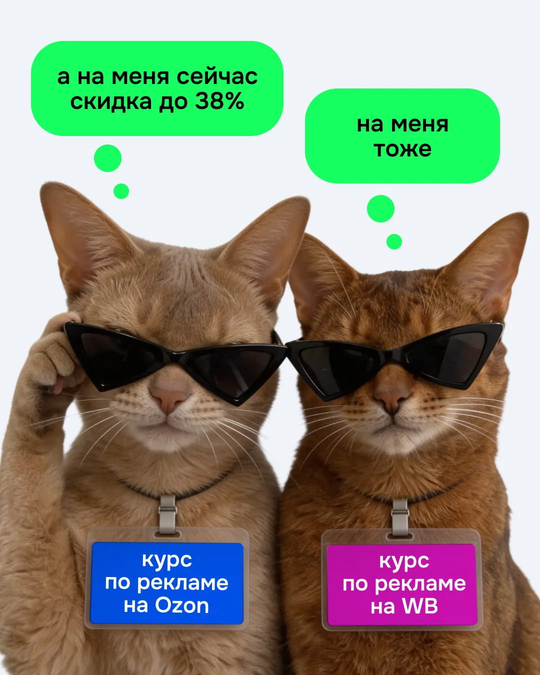 Выберите своего котика ⬇️
