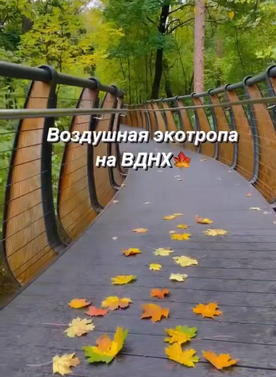 🥰 Экотропа на ВДНХ осенью становится ещё атмосфернее