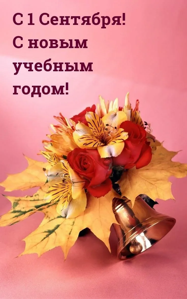 Дорогие родители и наши любимые малыши🎉!