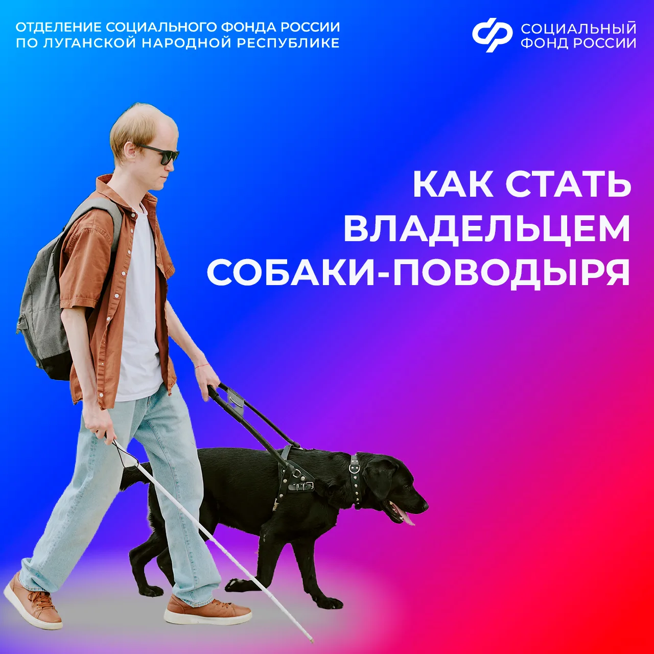 Как получить собаку-поводыря людям с проблемами со зрением  👨‍🦯Люди с инвалидностью I и II группы по