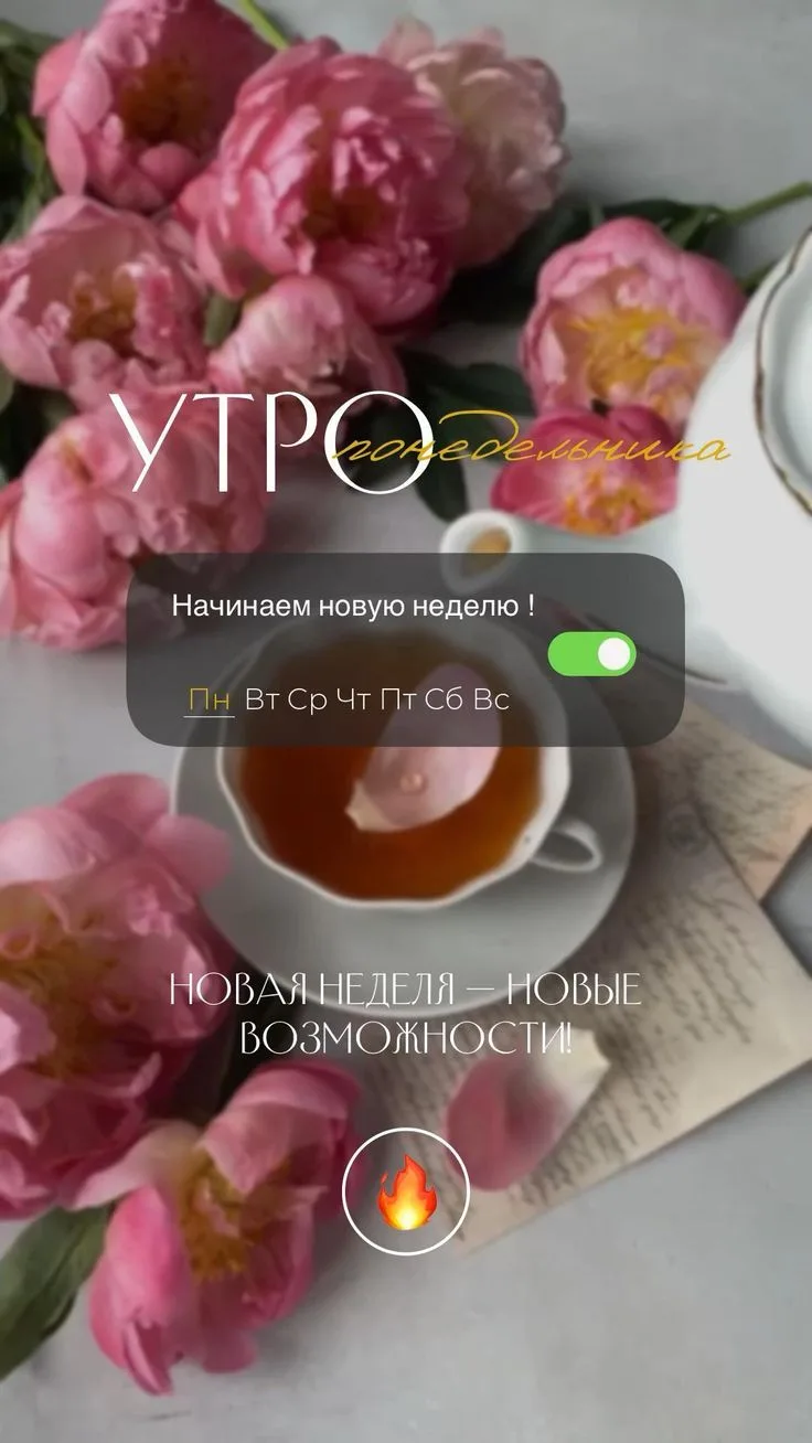 ❤️Всем прекрасного начала недели